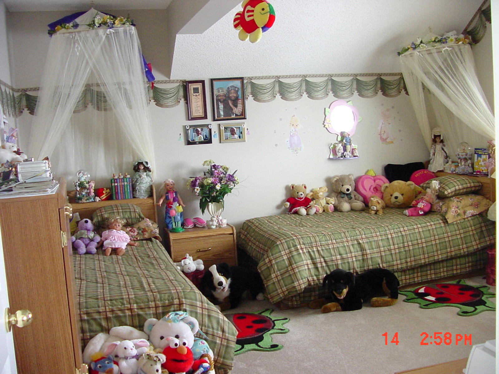 dsc00139.jpg